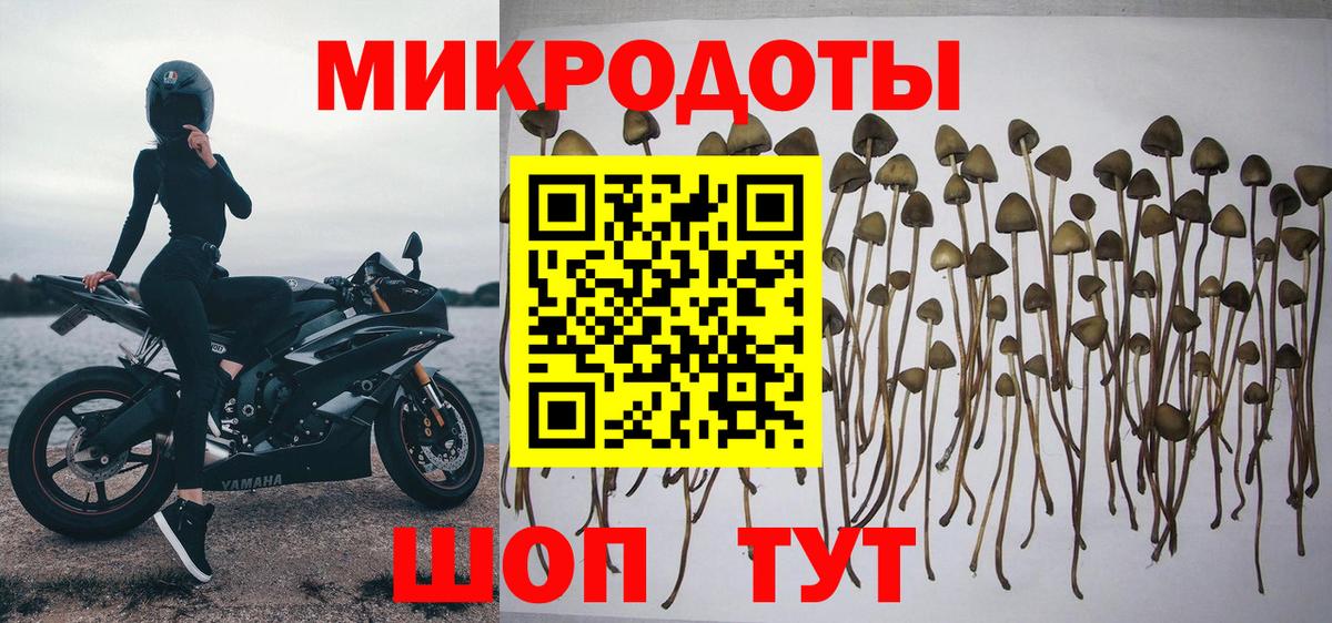 Галлюциногенные грибы мицелий Сыктывкар